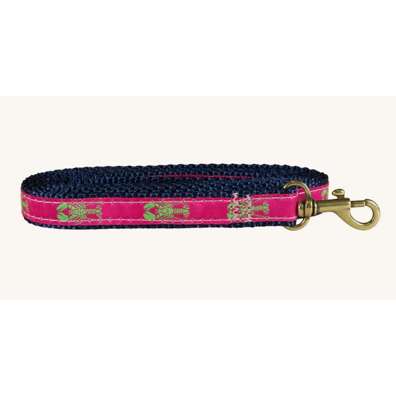 5/8 x 6ft Ribbon Dog Leash  Lobster, Lime Green on Pink