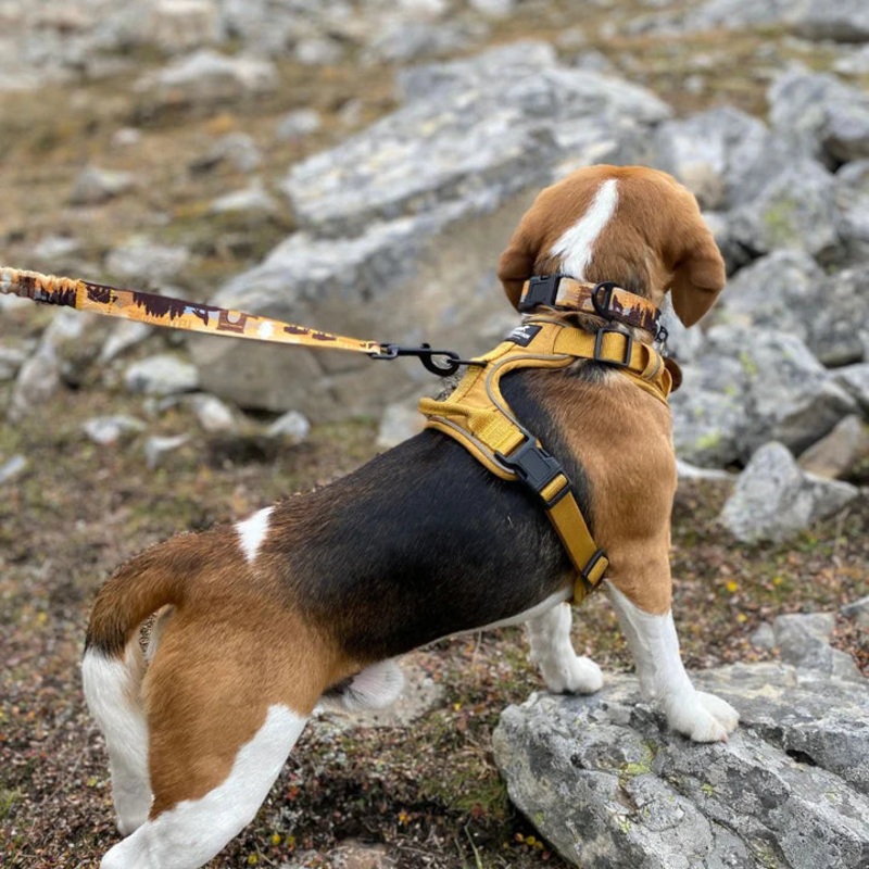 All Terrain Dog Harness Large Blue