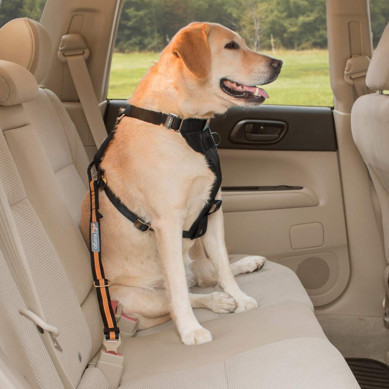 Dog Car Restraint – Seatbelt Tether