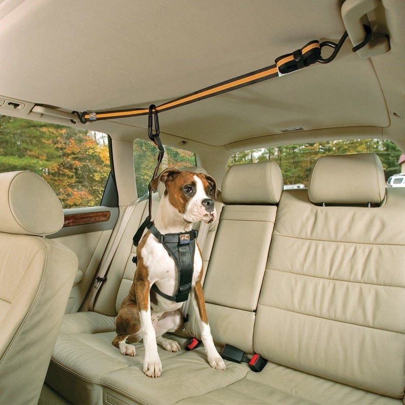 Dog Car Restraint – Zip Line