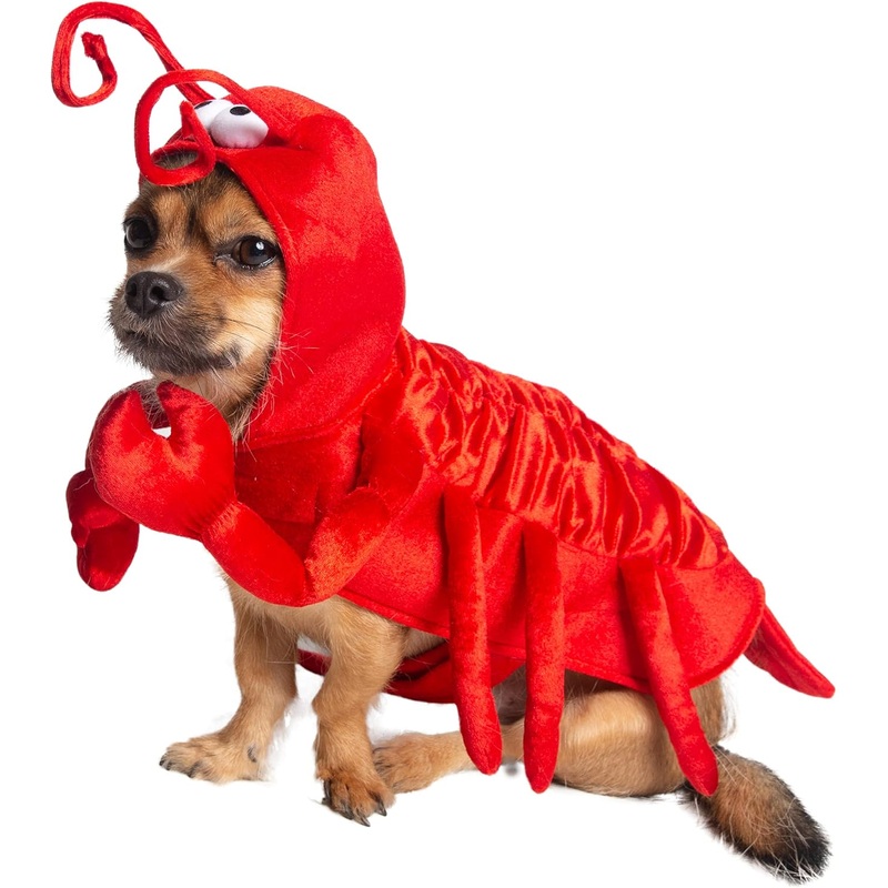 Dog Costume  Lobster Small