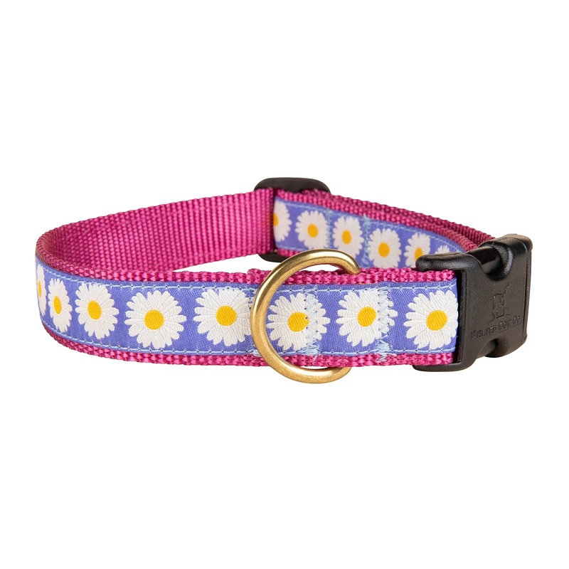 1 Ribbon Dog Collar – Daisy Small