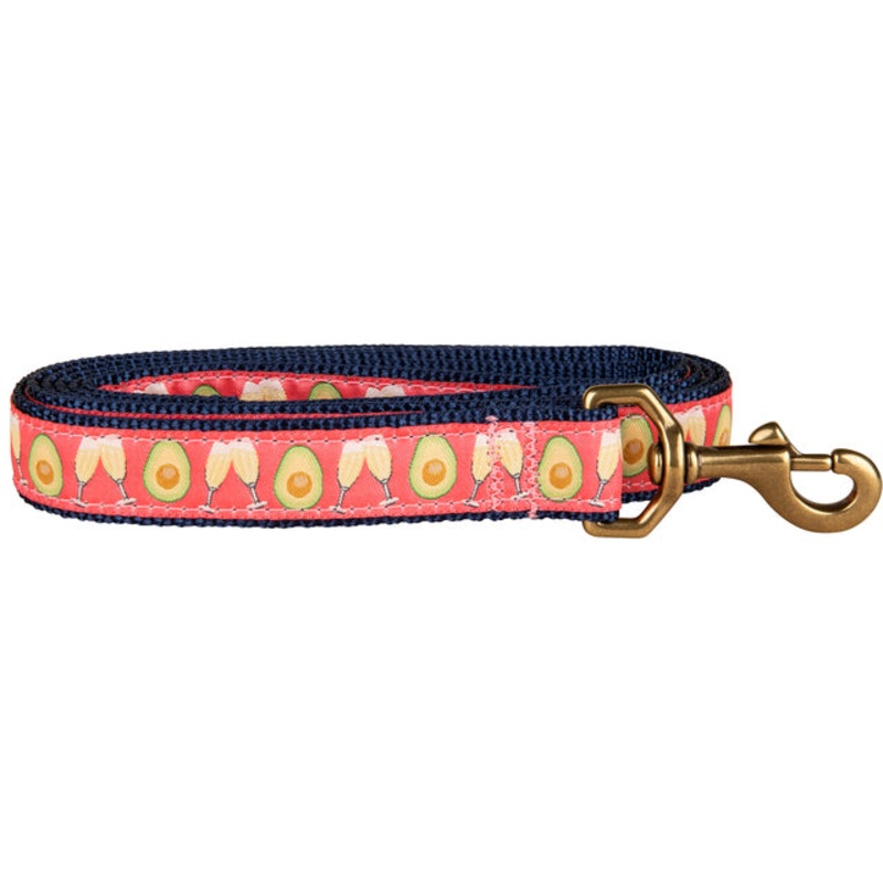 1 x 6ft Ribbon Dog Leash  Avocado Toast