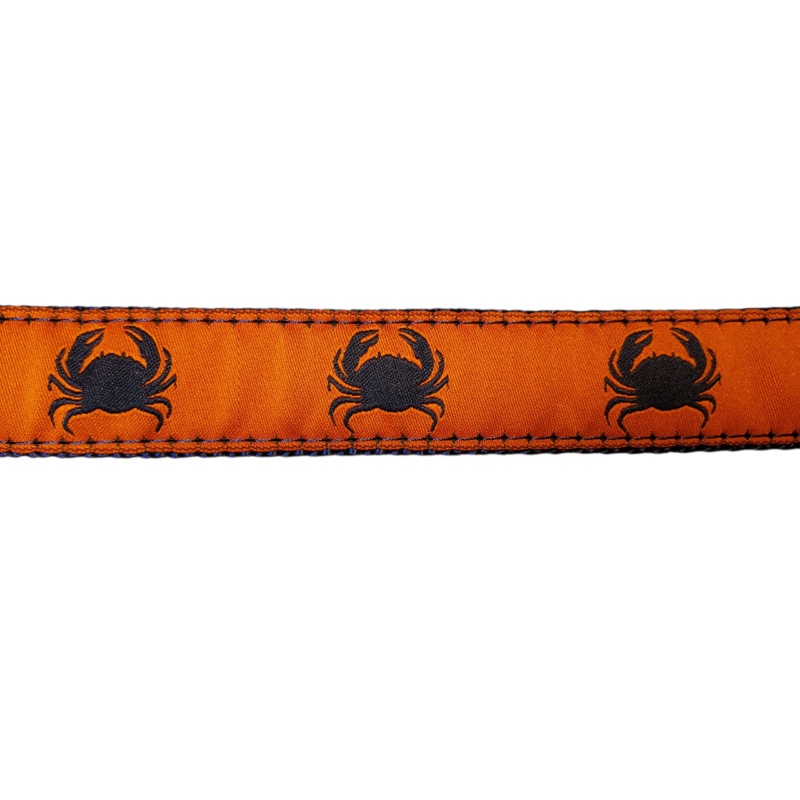 1 x 6ft Ribbon Dog Leash  Crabby on Orange