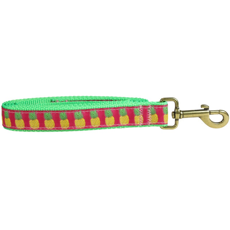 1 x 6ft Ribbon Dog Leash  Pineapples