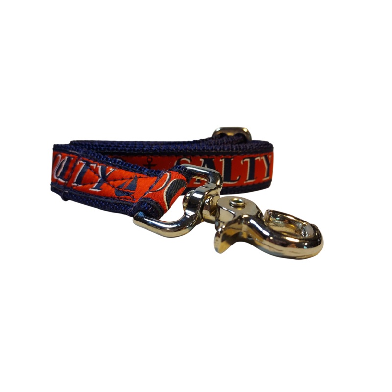 1 x 6ft Ribbon Dog Leash  Salty Dogs