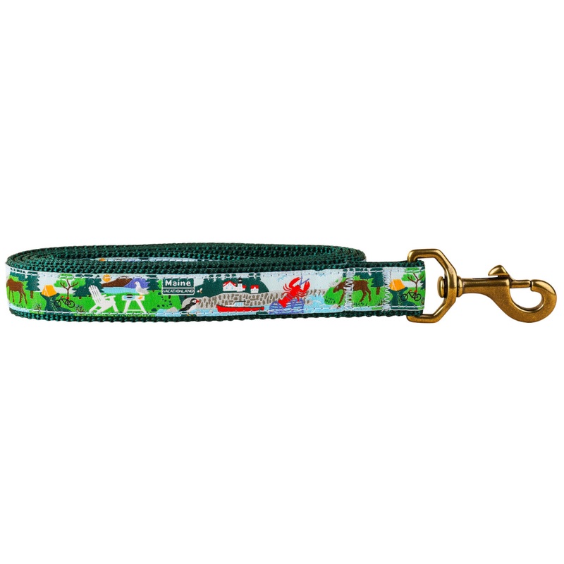 1 x 6ft Ribbon Dog Leash  Vacationland
