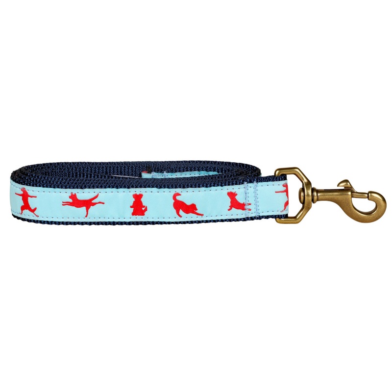 1 x 6ft Ribbon Dog Leash  Yoga Dog