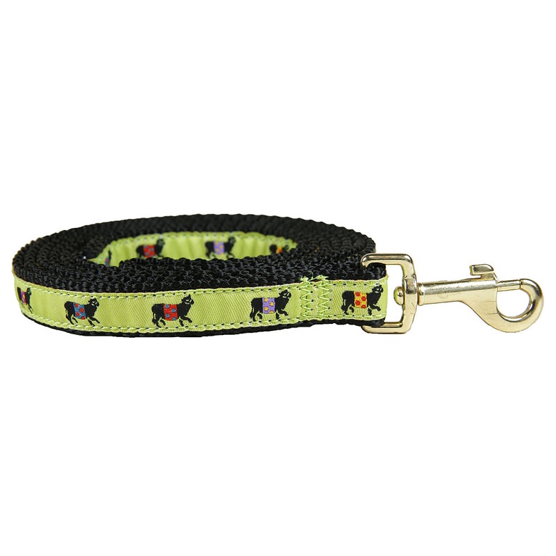 5/8 x 6ft Ribbon Dog Leash  Beltie, Lime