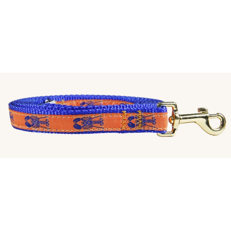 5/8 x 6ft Ribbon Dog Leash  Lobster, Blue on Mango