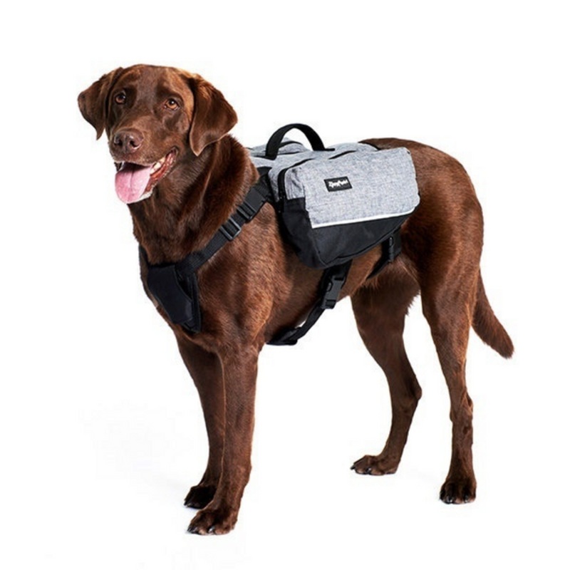 Dog Backpack  Grey Small