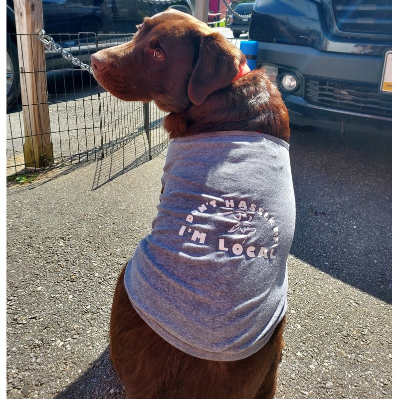 Doggie T-Shirt – Don’t Hassle Me XS Blue