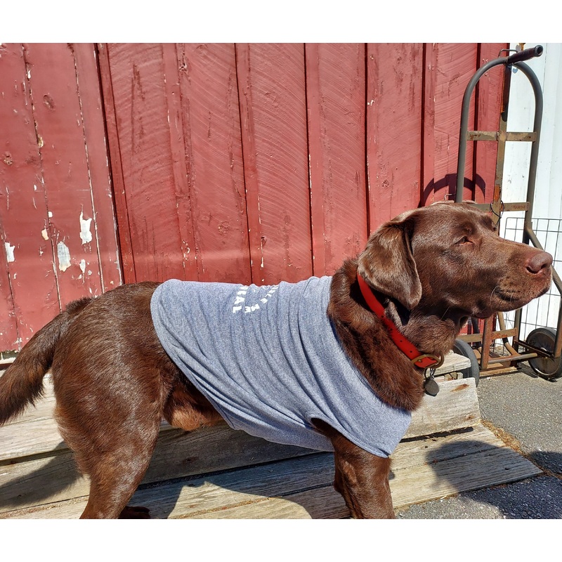 Doggie T-Shirt – Two Salty Dogs Logo XS Blue