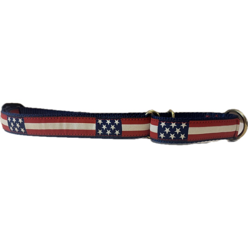 Martingale Dog Collar – Retro USA Flag Large