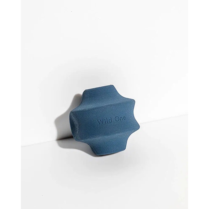 Wild One Navy Twist Toss Dog Toy Large 3 in