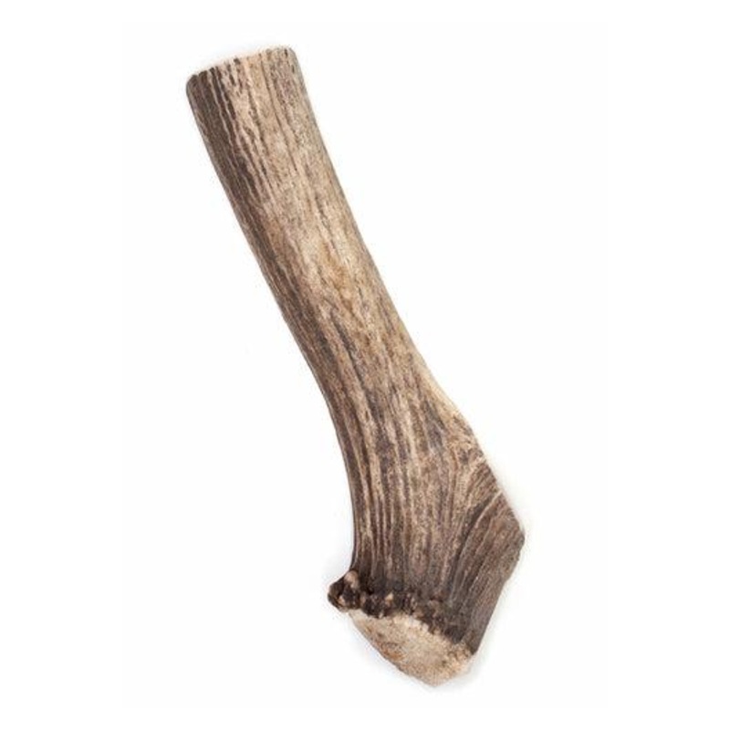 Antler Chewz Elk Antler Dog Chew 7-8″ chew