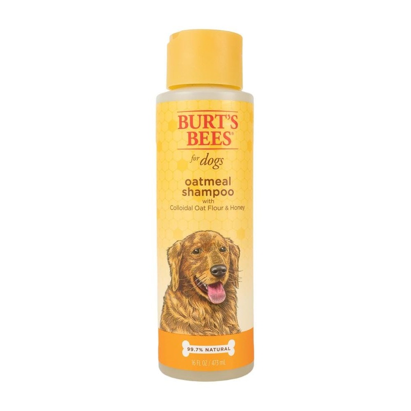 Burt’s Bees Oatmeal Dog Shampoo with Colloidal Oat Flour and Honey 16 oz