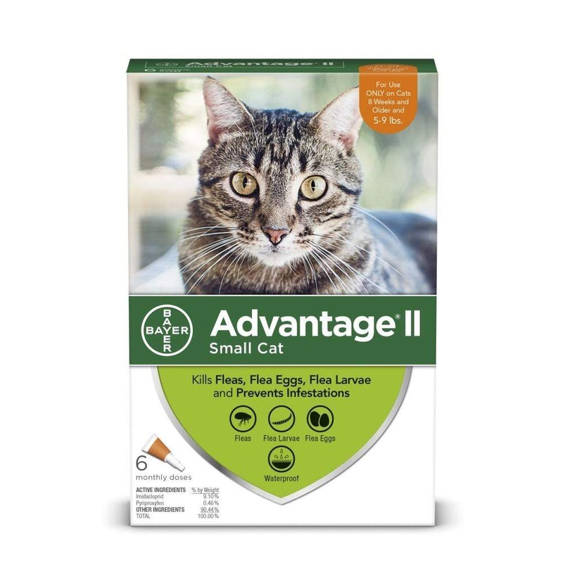 Bayer Advantage II Large Cat 5-9 lb