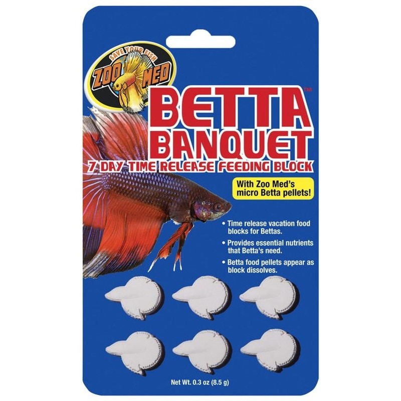ZOO MED BETTA BANQUET 7 DAY TIME RELEASE FEEDING BLOCK 6 PK